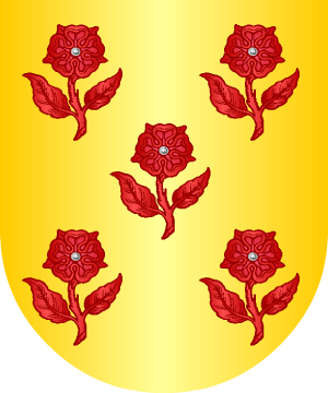 ESCUDO ALEATORIO